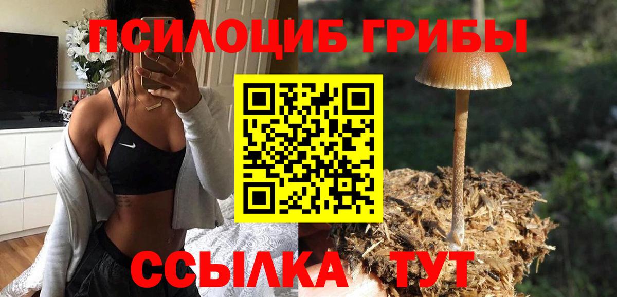 дарнет шоп  Вход с VPN  Вятские Поляны  Галлюциногенные грибы MAGIC MUSHROOMS 