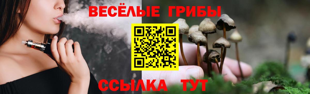 Галлюциногенные грибы Cubensis Вятские Поляны